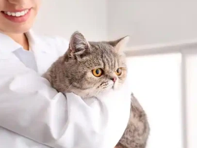 GS-441524 250mcg | Shaanxi BLOOM Tech Co., Ltd GS-441524 250mcg | Shaanxi BLOOM Tech Co., Ltd