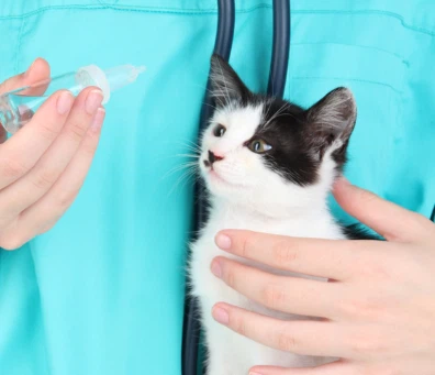 GS-441524 Online | Shaanxi BLOOM Tech Co., Ltd GS-441524 Online | Shaanxi BLOOM Tech Co., Ltd