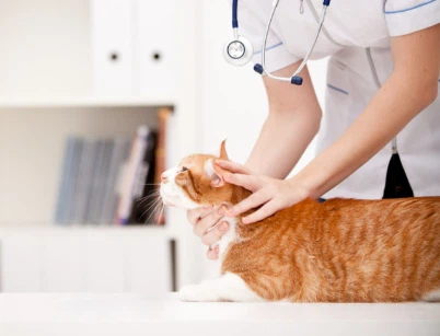 GS-441524 Price | Shaanxi BLOOM Tech Co., Ltd GS-441524 Price | Shaanxi BLOOM Tech Co., Ltd