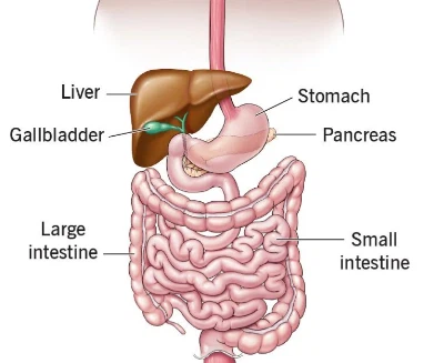 Bioglutide NA-931 Online | Shaanxi BLOOM Tech Co., Ltd