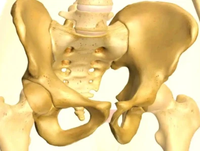 Bioglutide NA-931 Price | Shaanxi BLOOM Tech Co., Ltd