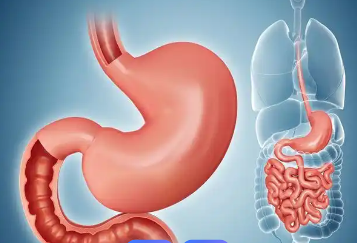 Bioglutide NA-931 Gastrointestinal Satiety | Shaanxi BLOOM Tech Co., Ltd Bioglutide NA-931 Gastrointestinal Satiety | Shaanxi BLOOM Tech Co., Ltd