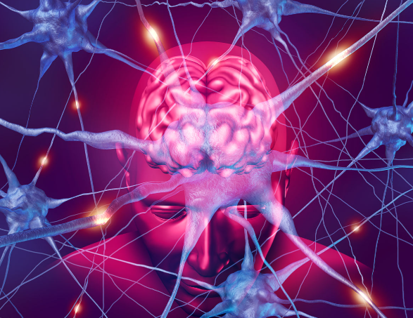 Bioglutide NA-931 Behavioral Integration | Shaanxi BLOOM Tech Co., Ltd Bioglutide NA-931 Behavioral Integration | Shaanxi BLOOM Tech Co., Ltd