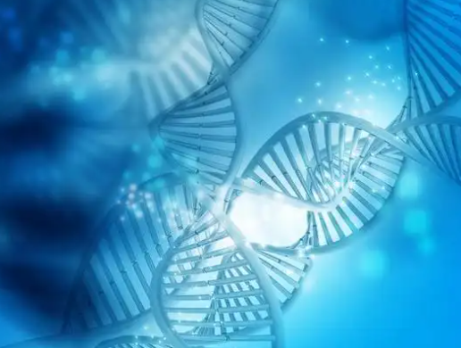 Bioglutide NA-931 Thermogenesis And Energy Expenditure Enhancement | Shaanxi BLOOM Tech Co., Ltd Bioglutide NA-931 Thermogenesis And Energy Expenditure Enhancement | Shaanxi BLOOM Tech Co., Ltd