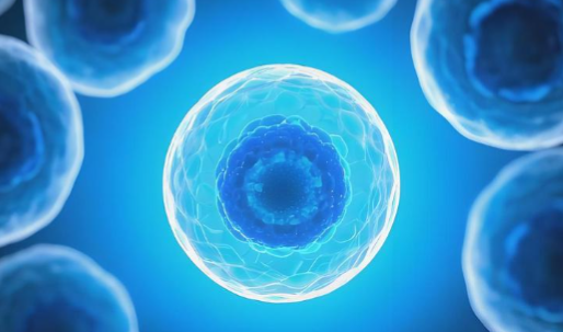 Bioglutide NA-931 metabolic changes | Shaanxi BLOOM Tech Co., Ltd Bioglutide NA-931 metabolic changes | Shaanxi BLOOM Tech Co., Ltd