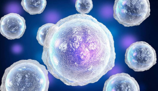SLU-PP-332 Reducing Oxidative Stress During Prolonged Exercise | Shaanxi BLOOM Tech Co., Ltd SLU-PP-332 Reducing Oxidative Stress During Prolonged Exercise | Shaanxi BLOOM Tech Co., Ltd