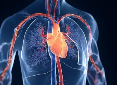 Bioglutide NA-931 Combination Therapy Research | Shaanxi BLOOM Tech Co., Ltd Bioglutide NA-931 Combination Therapy Research | Shaanxi BLOOM Tech Co., Ltd