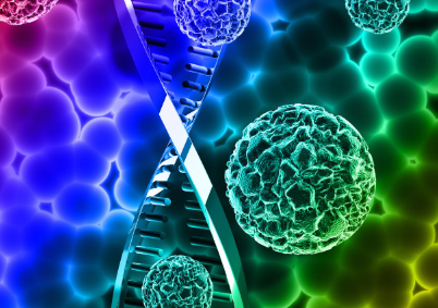 Bioglutide NA-931 Metabolic Pathways | Shaanxi BLOOM Tech Co., Ltd Bioglutide NA-931 Metabolic Pathways | Shaanxi BLOOM Tech Co., Ltd