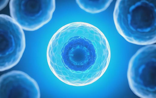 Bioglutide NA-931 price | Shaanxi BLOOM Tech Co., Ltd Bioglutide NA-931 price | Shaanxi BLOOM Tech Co., Ltd