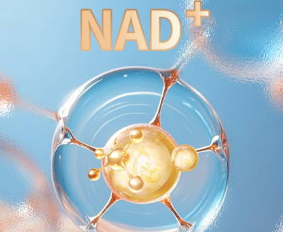 5-amino-1mq Price | Shaanxi BLOOM Tech Co., Ltd 5-amino-1mq Price | Shaanxi BLOOM Tech Co., Ltd