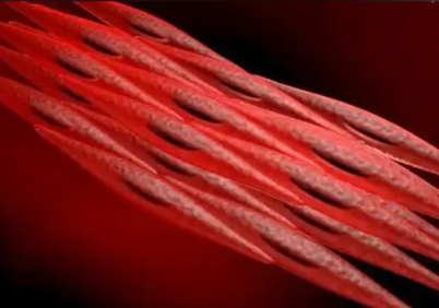 Bioglutide NA-931 Price | Shaanxi BLOOM Tech Co., Ltd Bioglutide NA-931 Price | Shaanxi BLOOM Tech Co., Ltd