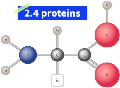 Bioglutide NA-931 For sale | Shaanxi BLOOM Tech Co., Ltd Bioglutide NA-931 For sale | Shaanxi BLOOM Tech Co., Ltd