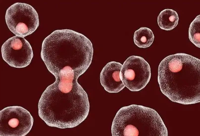 Bioglutide NA-931 Factory | Shaanxi BLOOM Tech Co., Ltd Bioglutide NA-931 Factory | Shaanxi BLOOM Tech Co., Ltd