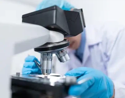 Bioglutide NA-931 Capsules Performance | Shaanxi BLOOM Tech Co., Ltd Bioglutide NA-931 Capsules Performance | Shaanxi BLOOM Tech Co., Ltd