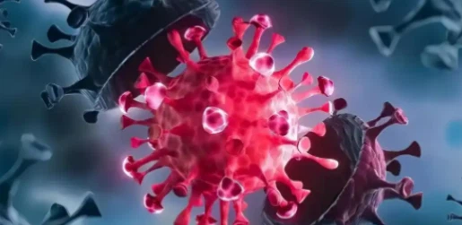 GS-441524 virus | Shaanxi BLOOM Tech Co., Ltd GS-441524 virus | Shaanxi BLOOM Tech Co., Ltd