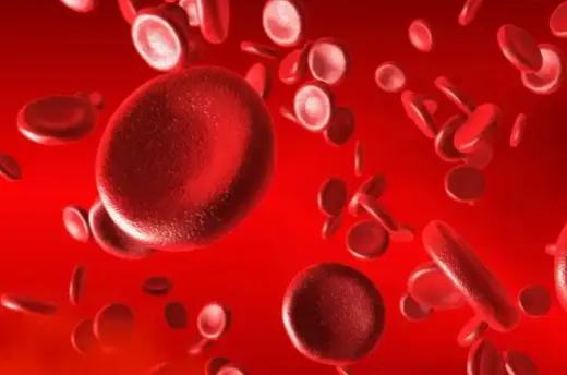 Bioglutide NA-931 cost | Shaanxi BLOOM Tech Co., Ltd Bioglutide NA-931 cost | Shaanxi BLOOM Tech Co., Ltd