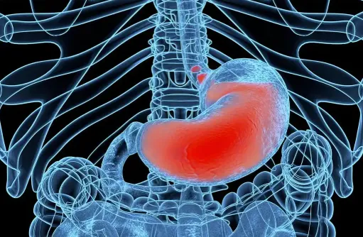 Bioglutide NA-931 online | Shaanxi BLOOM Tech Co., Ltd