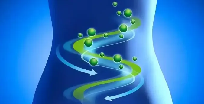 Bioglutide NA-931 Cells | Shaanxi BLOOM Tech Co., Ltd Bioglutide NA-931 Cells | Shaanxi BLOOM Tech Co., Ltd