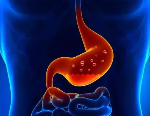 Bioglutide NA-931 Gastrointestinal Tolerability | Shaanxi BLOOM Tech Co., Ltd