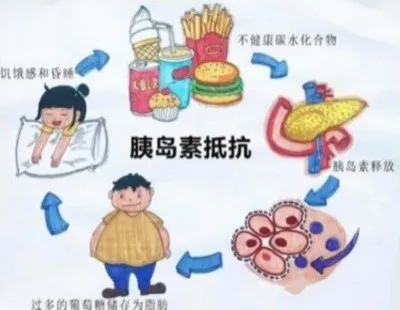 Bioglutide NA-931 Cost | Shaanxi BLOOM Tech Co., Ltd Bioglutide NA-931 Cost | Shaanxi BLOOM Tech Co., Ltd