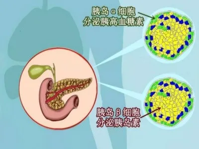 Bioglutide NA-931 Online | Shaanxi BLOOM Tech Co., Ltd Bioglutide NA-931 Online | Shaanxi BLOOM Tech Co., Ltd