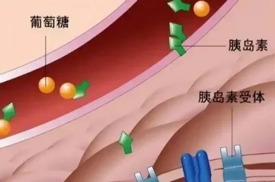 Bioglutide NA-931 Supply | Shaanxi BLOOM Tech Co., Ltd Bioglutide NA-931 Supply | Shaanxi BLOOM Tech Co., Ltd