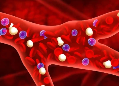 Bioglutide Energy Utilization Pathways | Shaanxi BLOOM Tech Co., Ltd Bioglutide Energy Utilization Pathways | Shaanxi BLOOM Tech Co., Ltd