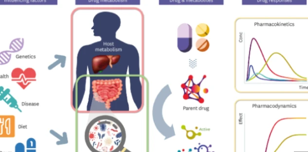 Bioglutide NA-931 price | Shaanxi BLOOM Tech Co., Ltd Bioglutide NA-931 price | Shaanxi BLOOM Tech Co., Ltd
