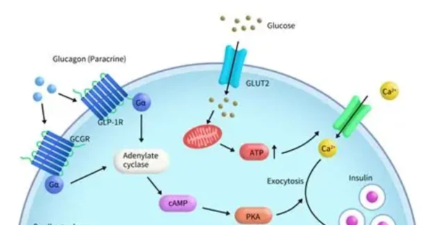 Bioglutide NA-931 buy online | Shaanxi BLOOM Tech Co., Ltd Bioglutide NA-931 buy online | Shaanxi BLOOM Tech Co., Ltd
