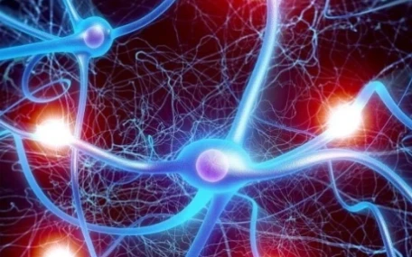 Compound Fipronil And Praziquantel Spot On Cost | Bloomtechz Compound Fipronil And Praziquantel Spot On Cost | Bloomtechz