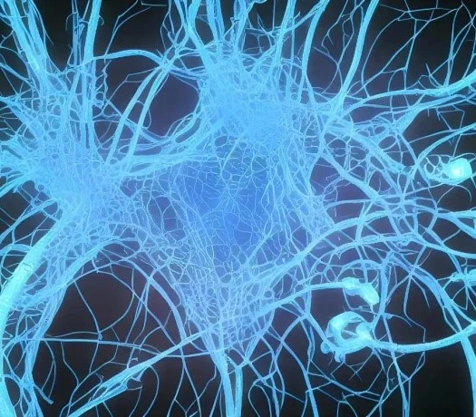 Fluralaner recommended | Bloomtechz