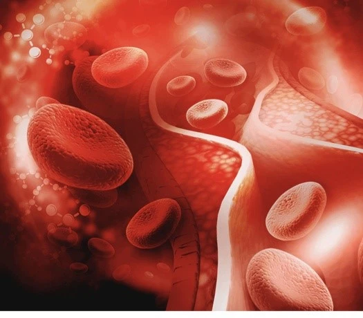 Trilostane Drugs | Bloomtechz Trilostane Drugs | Bloomtechz