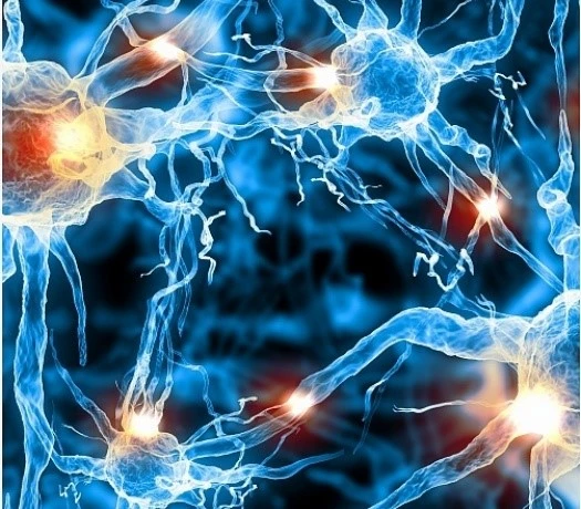 Compound Fipronil And Praziquantel Cost | Bloomtechz Compound Fipronil And Praziquantel Cost | Bloomtechz
