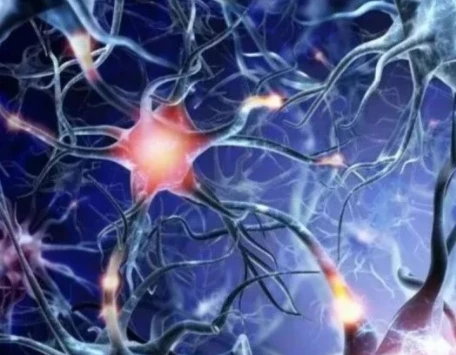 Fipronil Spot-On Cost | Bloomtechz Fipronil Spot-On Cost | Bloomtechz