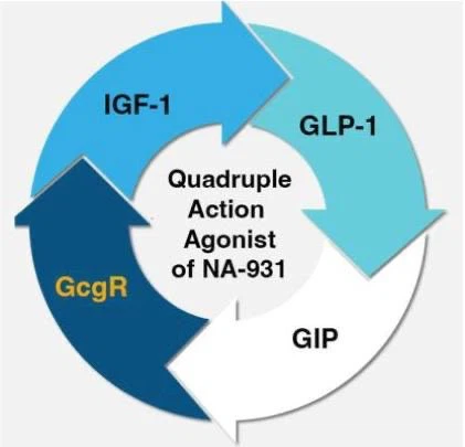 NA-931 Peptide suppliers