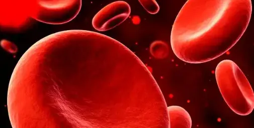 Peptide Cost | Shaanxi BLOOM Tech Co., Ltd Peptide Cost | Shaanxi BLOOM Tech Co., Ltd