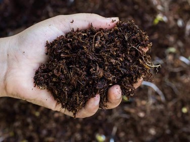 ANISOMYCIN order | Shaanxi BLOOM Tech Co., Ltd ANISOMYCIN order | Shaanxi BLOOM Tech Co., Ltd