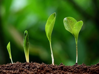 ANISOMYCIN purchase | Shaanxi BLOOM Tech Co., Ltd ANISOMYCIN purchase | Shaanxi BLOOM Tech Co., Ltd