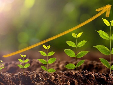 Daidzin for sale | Shaanxi BLOOM Tech Co., Ltd Daidzin for sale | Shaanxi BLOOM Tech Co., Ltd