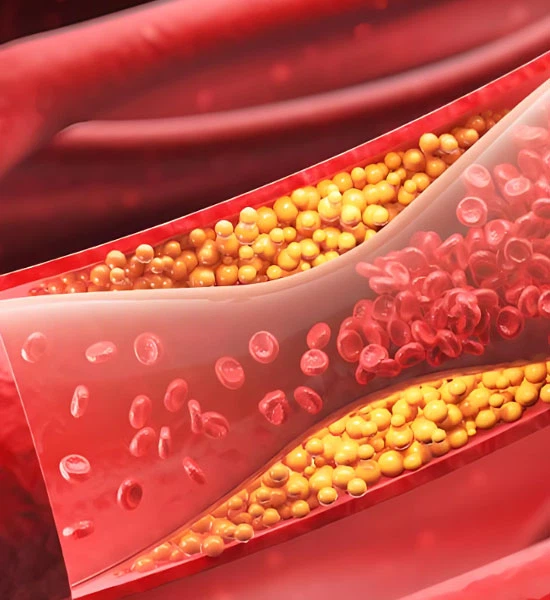 Cholesterol Buy | Shaanxi BLOOM Tech Co., Ltd Cholesterol Buy | Shaanxi BLOOM Tech Co., Ltd