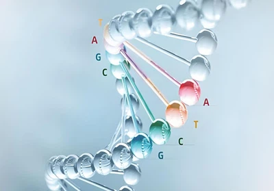 Ethyl nipicote buy | Shaanxi BLOOM Tech Co., Ltd Ethyl nipicote buy | Shaanxi BLOOM Tech Co., Ltd