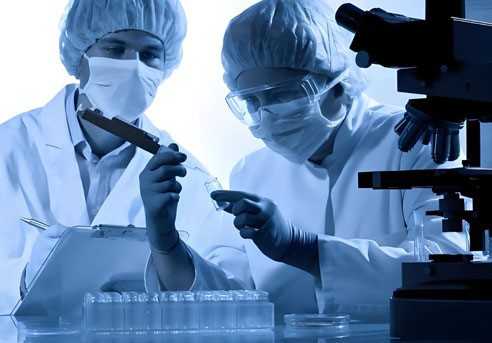 Paraxanthine powder-Clinical | Shaanxi BLOOM Tech Co., Ltd Paraxanthine powder-Clinical | Shaanxi BLOOM Tech Co., Ltd