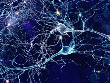 BPC 157 Peptide Capsules | Shaanxi BLOOM Tech Co., Ltd BPC 157 Peptide Capsules | Shaanxi BLOOM Tech Co., Ltd