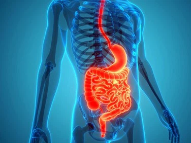 BPC 157 Peptide Capsules | Shaanxi BLOOM Tech Co., Ltd BPC 157 Peptide Capsules | Shaanxi BLOOM Tech Co., Ltd