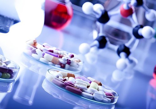 PT 141 Capsules | Shaanxi BLOOM Tech Co., Ltd PT 141 Capsules | Shaanxi BLOOM Tech Co., Ltd