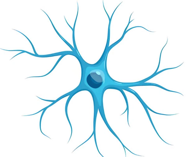 Huperzine A Tablet Buy | Shaanxi BLOOM Tech Co., Ltd Huperzine A Tablet Buy | Shaanxi BLOOM Tech Co., Ltd