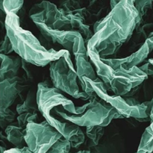 5-Benzyloxyindole use | Shaanxi BLOOM Tech Co., Ltd 5-Benzyloxyindole use | Shaanxi BLOOM Tech Co., Ltd