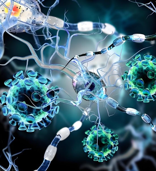 5-Benzyloxyindole use | Shaanxi BLOOM Tech Co., Ltd 5-Benzyloxyindole use | Shaanxi BLOOM Tech Co., Ltd