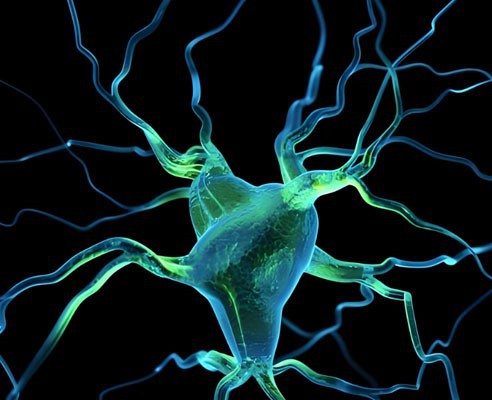 SNAP 8 price | Shaanxi BLOOM Tech Co., Ltd SNAP 8 price | Shaanxi BLOOM Tech Co., Ltd