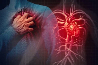 Lidocaine Hydrochloride powder | Shaanxi BLOOM Tech Co., Ltd Lidocaine Hydrochloride powder | Shaanxi BLOOM Tech Co., Ltd